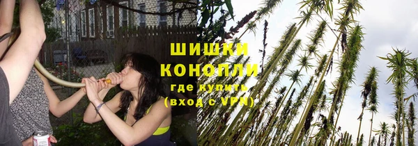 гидропоника Михайловск