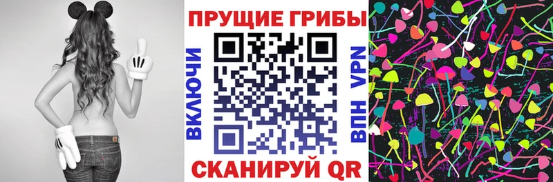 Галлюциногенные грибы Cubensis  Кизилюрт 