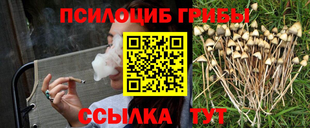 Псилоцибиновые грибы GOLDEN TEACHER Кизилюрт
