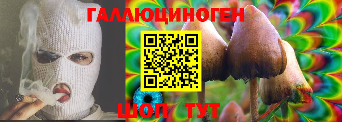 что такое наркотик  Галлюциногенные грибы MAGIC MUSHROOMS  Вход с VPN  Кизилюрт 